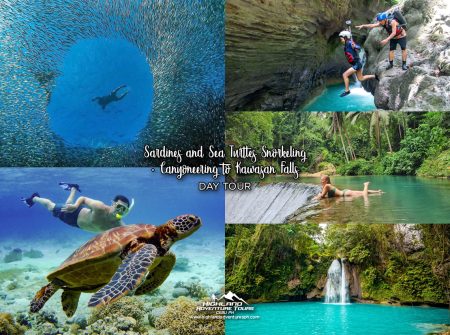 Sardines and Sea Turtles Snorkeling + Canyoneering to Kawasan Falls Day Tour
