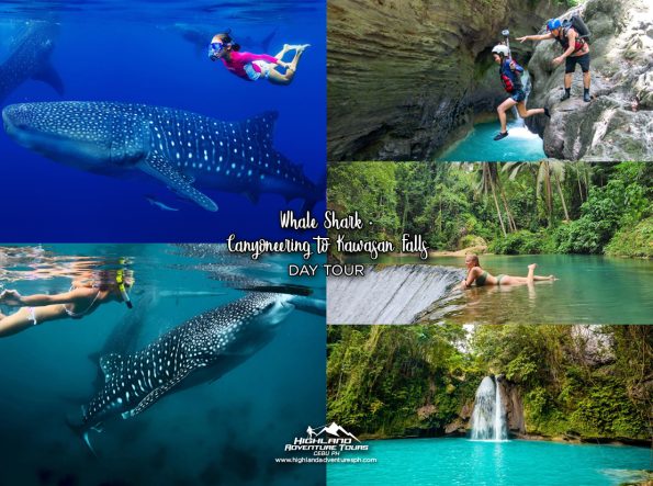 Whale Shark + Canyoneering to Kawasan Falls Day Tour