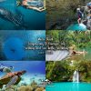 Whale Shark + Canyoneering to Kawasan Falls + Sardines and Sea Turtles Snorkeling