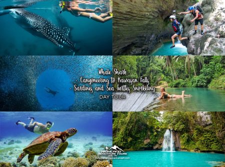 Whale Shark + Canyoneering to Kawasan Falls + Sardines and Sea Turtles Snorkeling