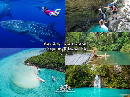 Whale Shark + Sumilon Sandbar + Canyoneering to Kawasan Falls Day Tour