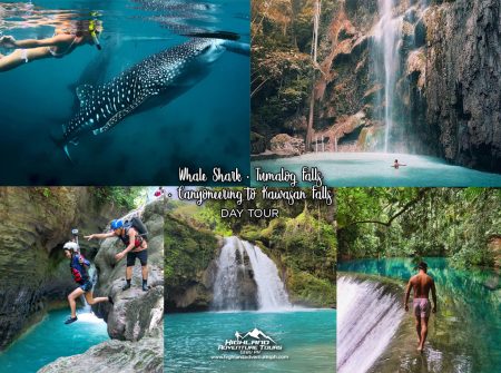 Whale Shark + Tumalog Falls + Canyoneering to Kawasan Falls