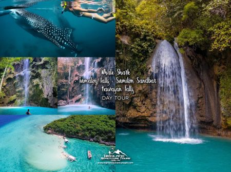 Whale Shark + Tumalog Falls + Sumilon Sandbar + Kawasan Falls Day Tour