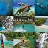 2 Days Moalboal Badian and Oslob Tour