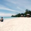 Whale Shark + Kawasan Falls + Lambug Beach + Sardines and Sea Turtles Snorkeling