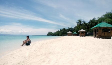 Whale Shark + Kawasan Falls + Lambug Beach + Sardines and Sea Turtles Snorkeling