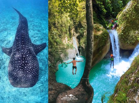 Whale Shark + Kabutongan Canyoneering Adventure