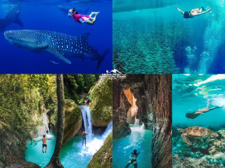 Whale Shark + Kabutongan Canyoneering + Sardines and Sea Turtles Snorkeling