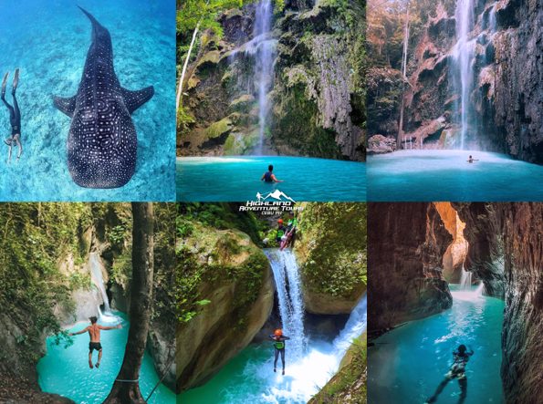 Whale Shark + Tumalog Falls + Kabutongan Canyoneering