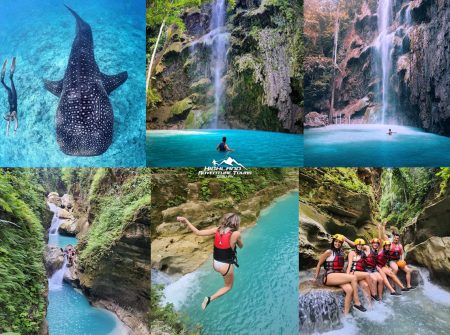 Whale Shark + Tumalog Falls + Alegria Wonderfalls
