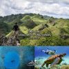 Osmena Peak and Sardines Sea Turtles