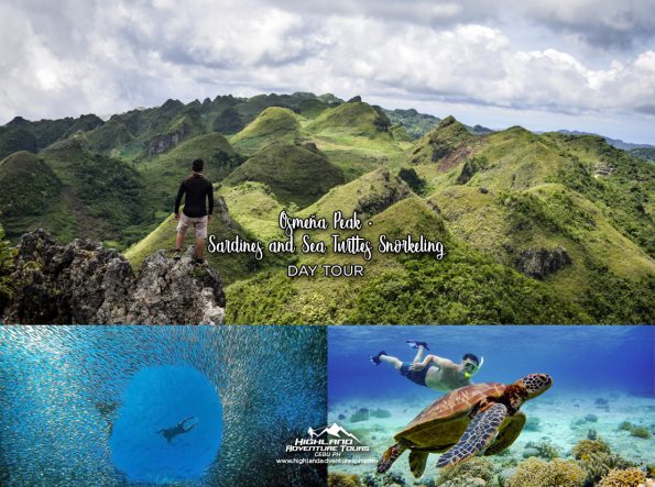 Osmena Peak and Sardines Sea Turtles